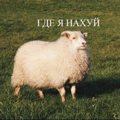 Как не умереть в отношениях. Часть 1.